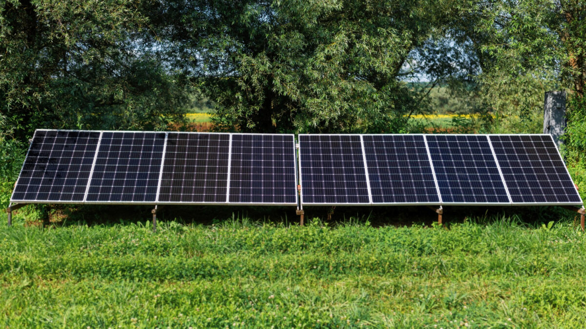 Paneles solares en un entorno natural