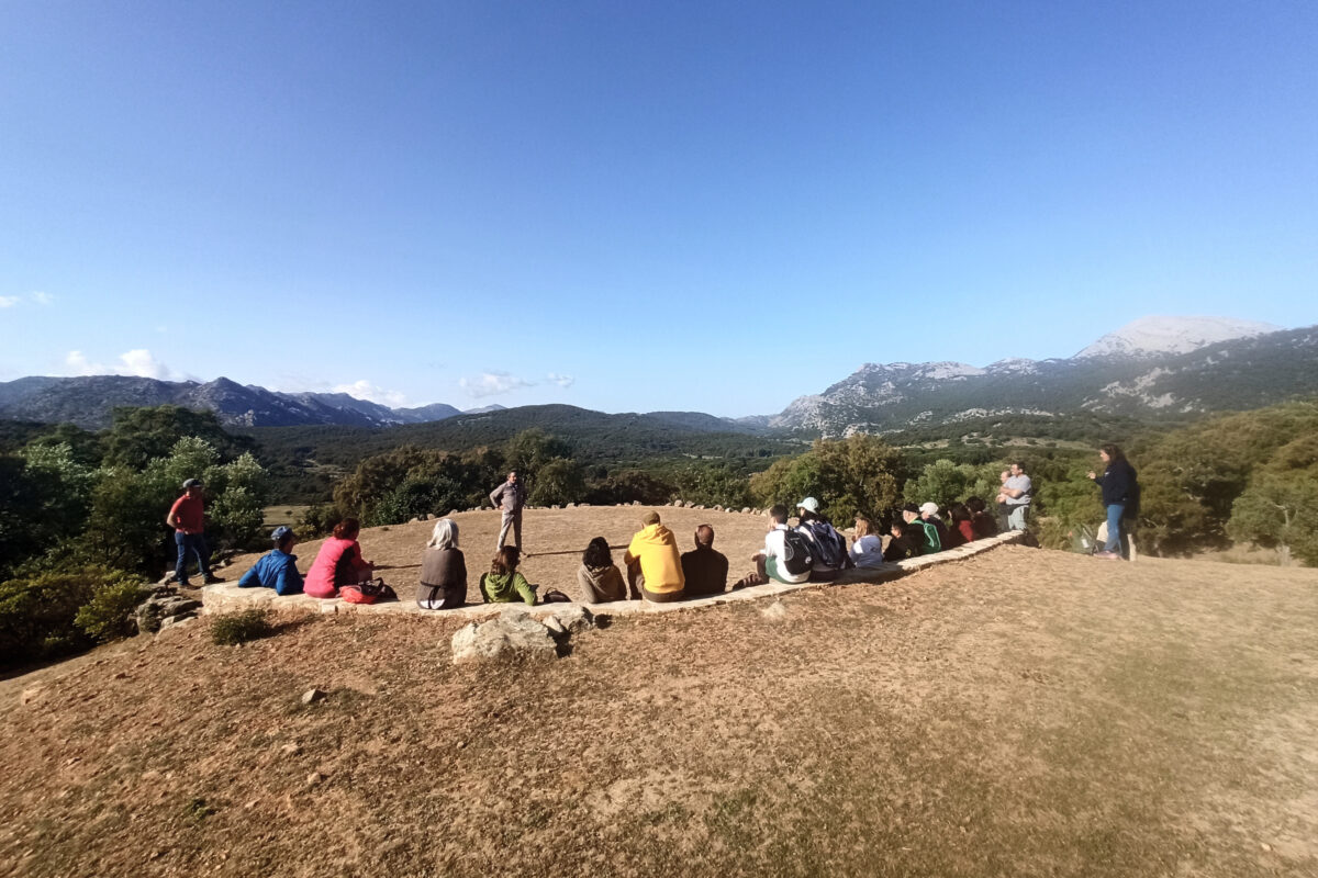 Jornada de voluntariado ambiental