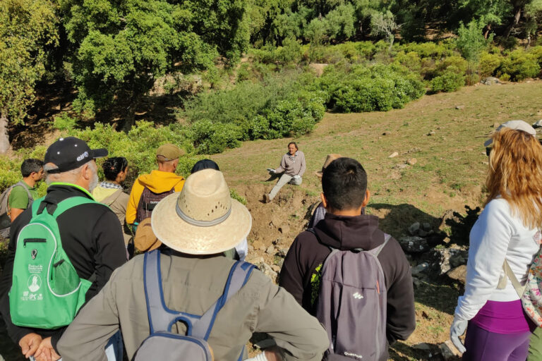 Jornada de voluntariado ambiental